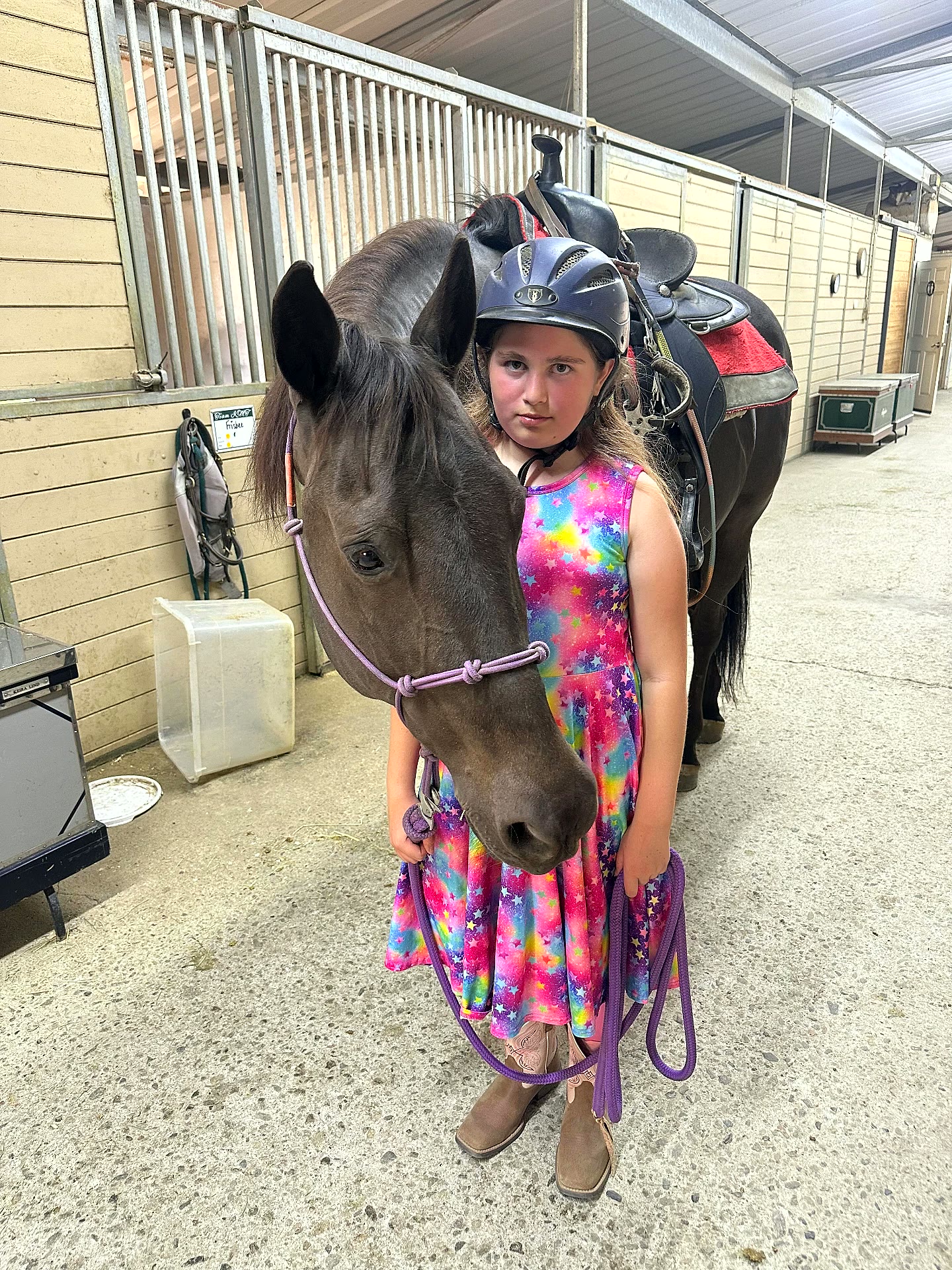 Girl in a rainbow dress leading a dark horse through the barn aisle