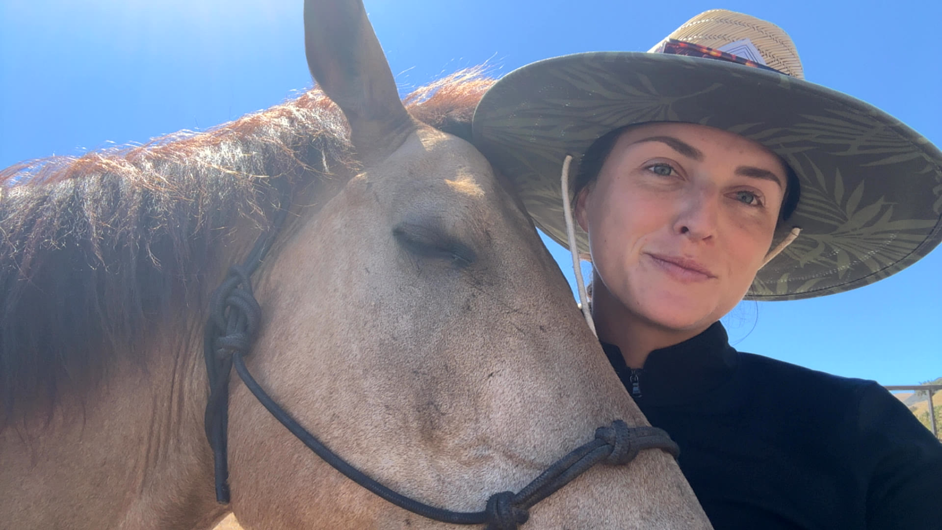 Trainer in a straw hat cheek to cheek with a roan horse under blue sky