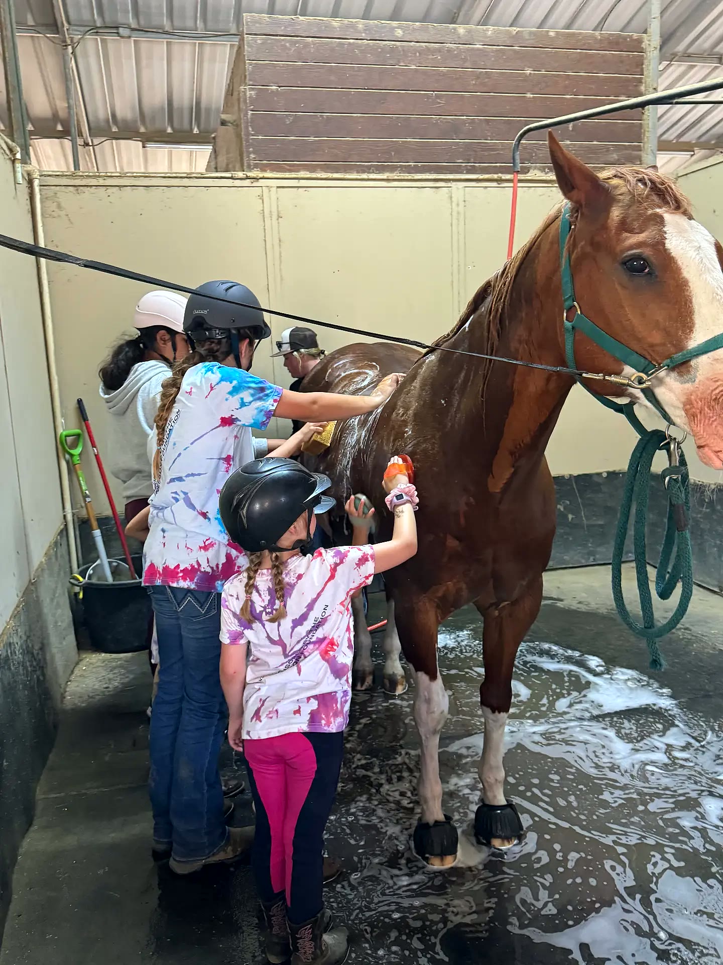 Campers sponging and bathing a chestnut horse in the wash rack