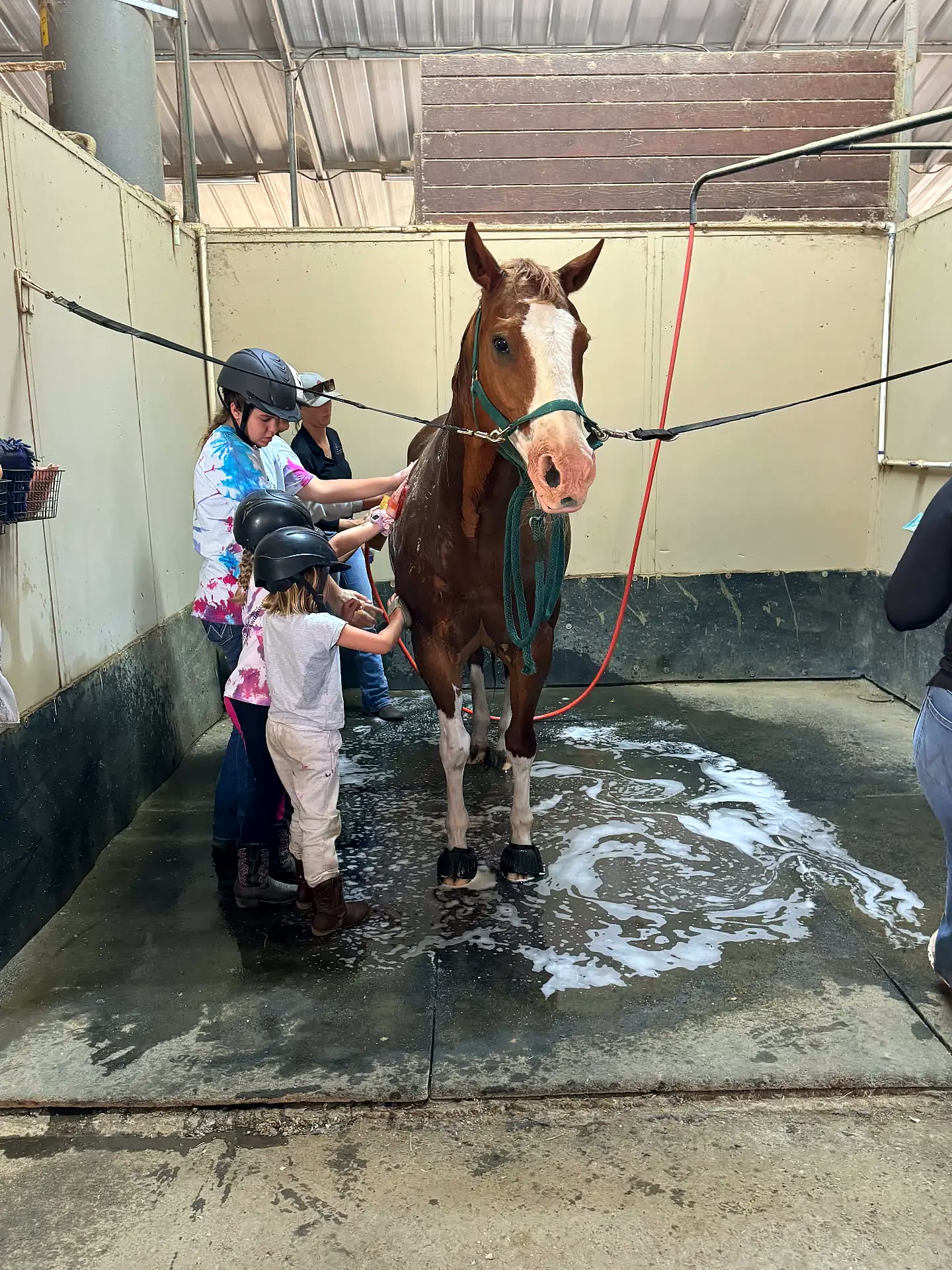 Kids rinsing a horse during barn chores at camp